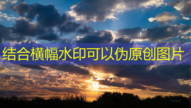 室内健身活动后感