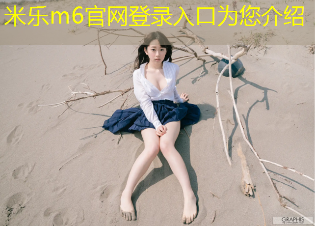 <strong>米乐为您介绍：巴西跆拳道护具价格表</strong>